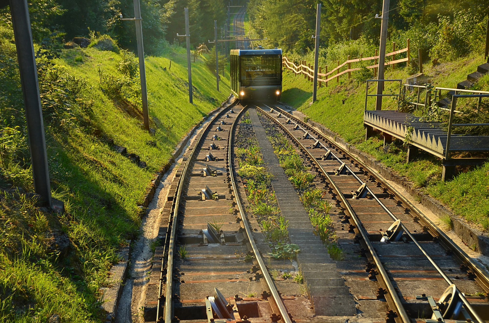 Zug